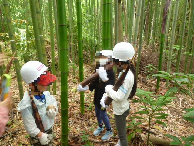 今年も【タケノコ狩り】を実施しましたよ~!(^^)!♪の写真