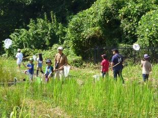 【トンボとり大作戦】③を開催しました♪