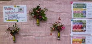 【園内の植物で正月飾りをつくろう】を開催しました♪