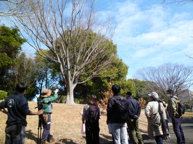 【野鳥観察ツアー】を開催しました🐤♪の写真