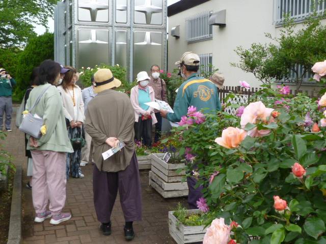 【バラ観賞ツアー】を開催しました🌹の写真