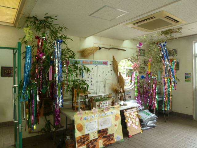 『星に願いを☆』・・・【七夕飾り】を設置しました♪の写真