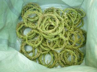 【ロスフラワープロジェクト】第2回目の協力です!(^^)!