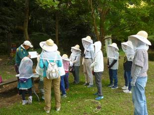 『臨時』【養蜂体験ツアー】を開催したよ♪