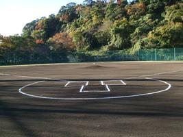 【野球場冬期開場サービス】のお知らせ⚾の画像