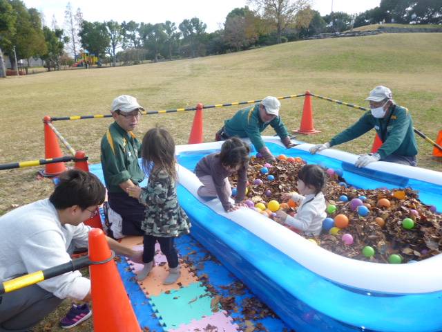長浜公園【落ち葉&ボールプール】開催のお知らせ♪の写真