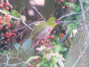今年もよろしくお願いします!(^^)!