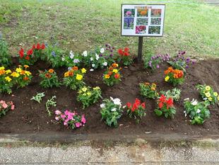 並木中央小学校の生徒の皆さんと花壇の花植えを行いました♪【6月13日(金)】