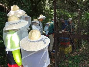【養蜂（ハチミツ収穫）体験】を開催しました♪（7月13日）