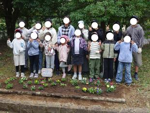 近隣小学校との協働で花壇に花苗を植えました【10月29日～31日】🌼