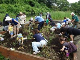 【先着順】「ジャガイモ収穫体験」開催のお知らせ♪の画像