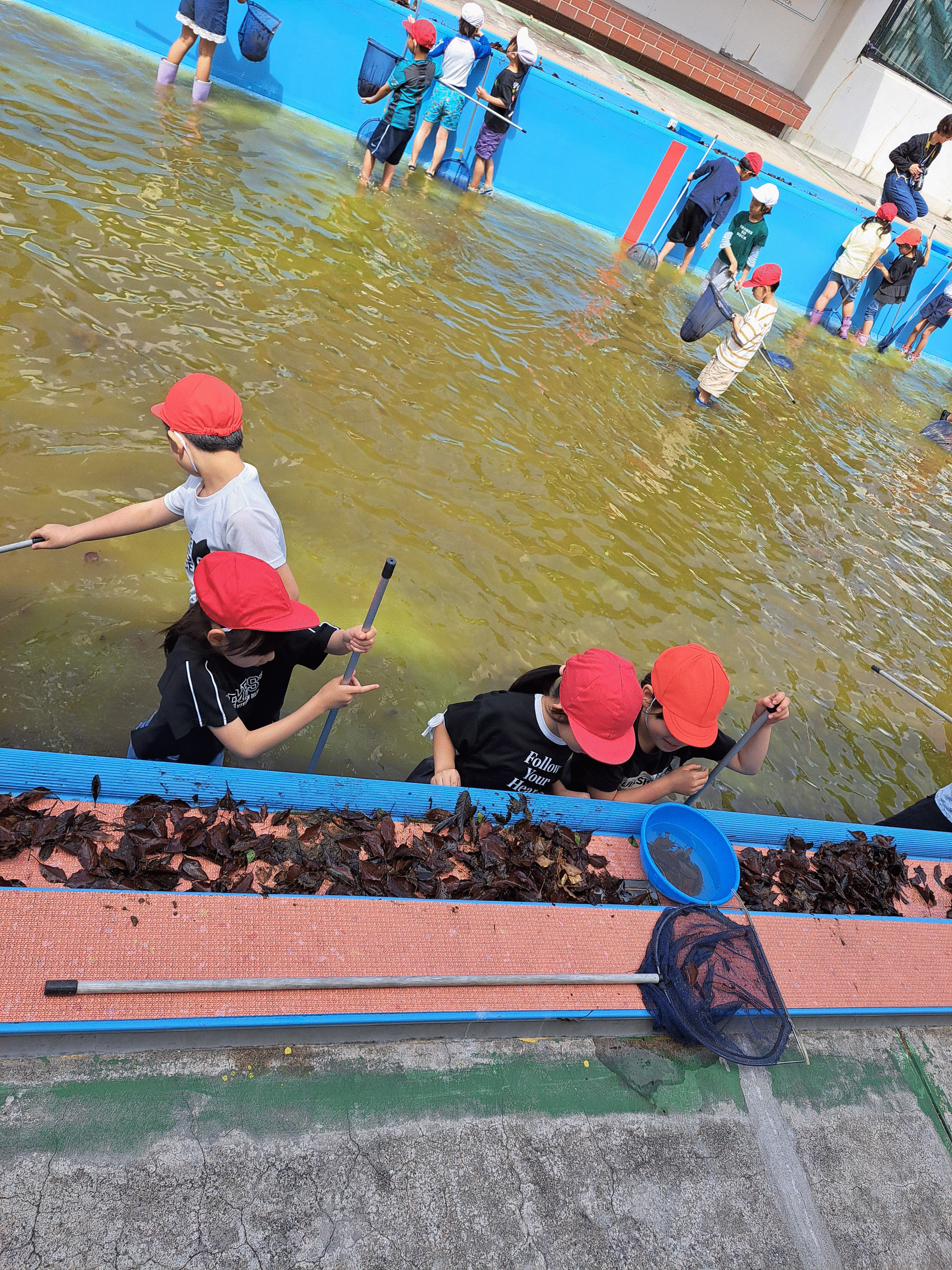 令和8年度「トンボ救出大作戦」を並木中央小学校２年生の生徒さんと実施しました！の写真