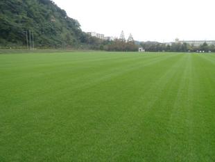 球技場（サッカー場）貸出し再開のお知らせ