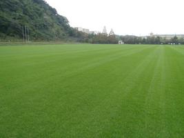『長浜公園 感謝DAY』開催中止のお知らせ