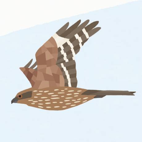 野鳥観察園||長浜公園公式サイト｜公益財団法人 横浜市緑の協会