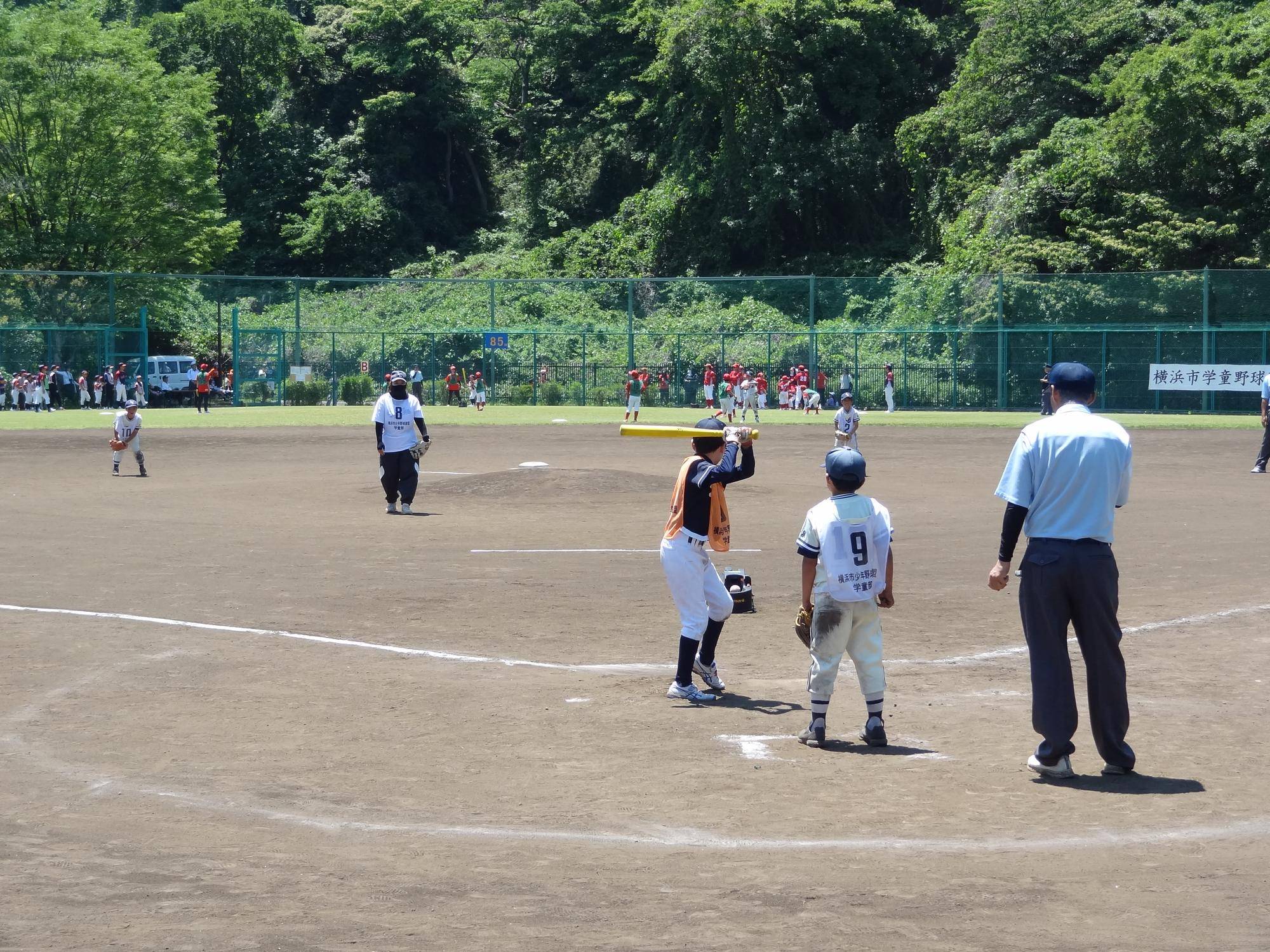 DSC06620.jpg