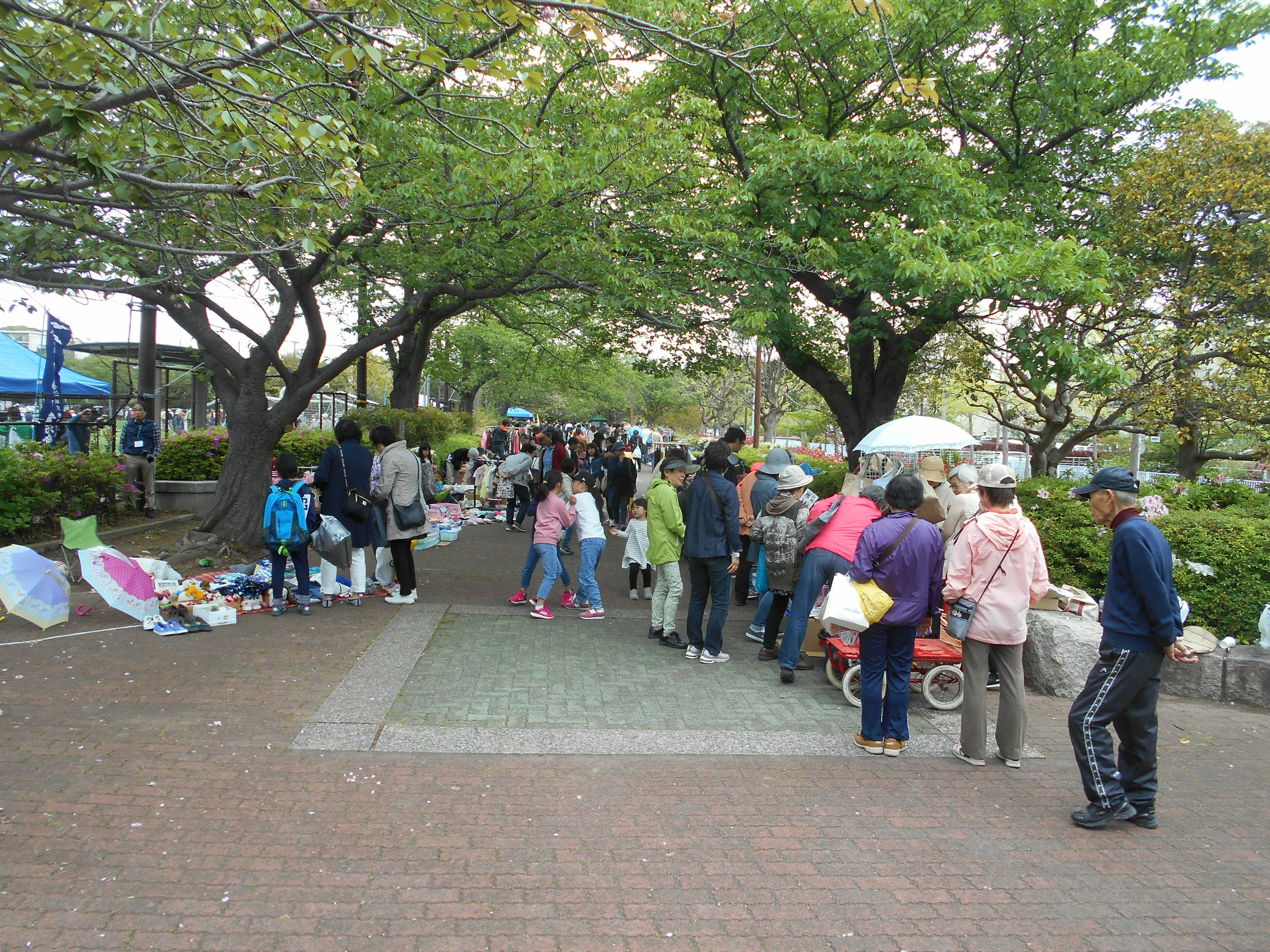 ブログ フリーマーケットDSCN1453.jpg