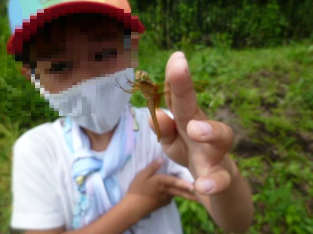 P1060170 -ブログ用顔ぼかし コピー.jpg