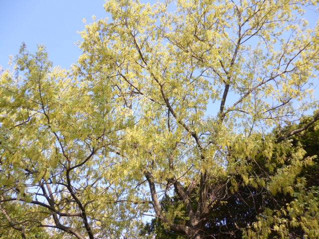 P1010185.jpg