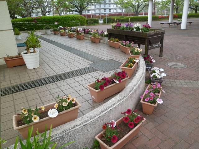 P1090833.jpg