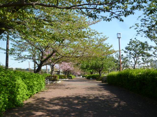 P1090839.jpg