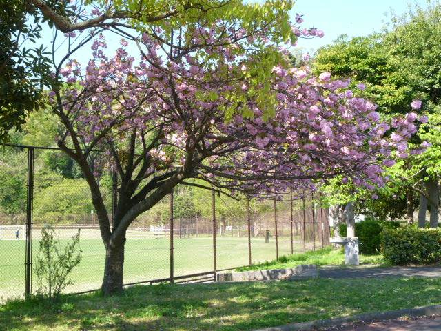 P1090865.jpg