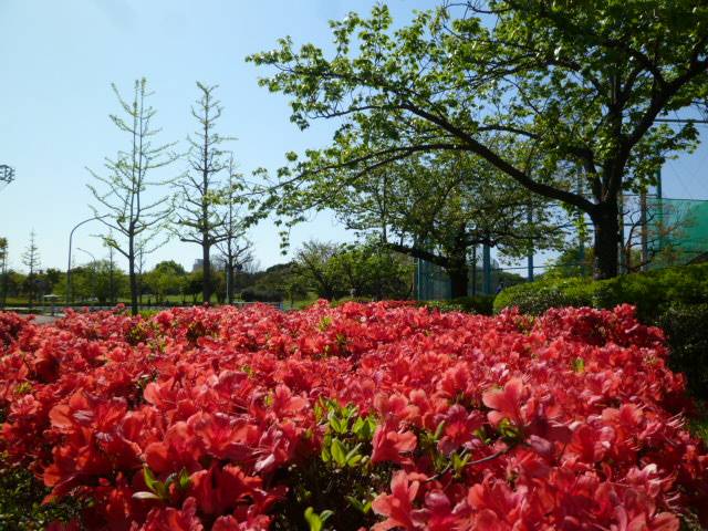 P1090908.jpg