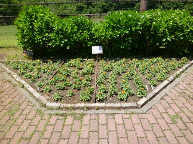 P1100194.jpg