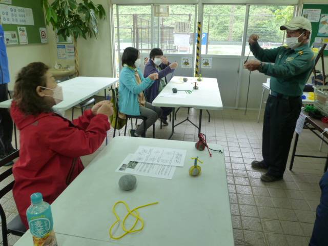 P1100153.jpg
