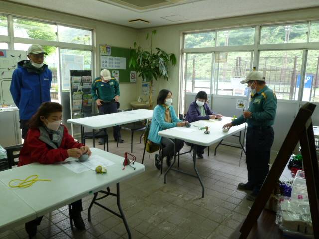 P1100155.jpg