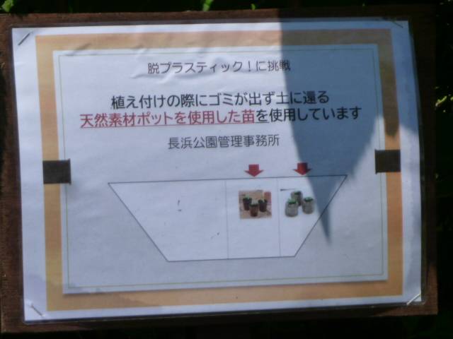 P1100209.jpg