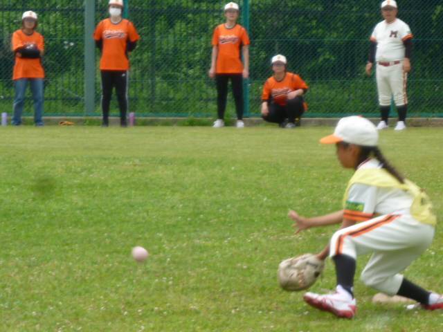 P1100338.jpg