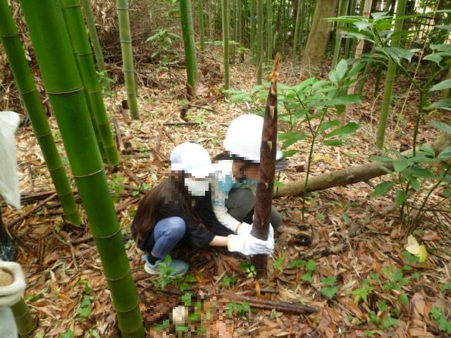 P1100536 -ブログ用ぼかしあり.jpg