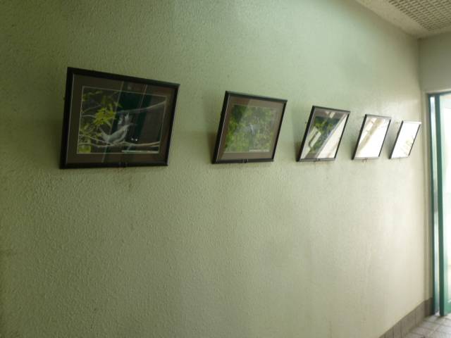P1100438.jpg