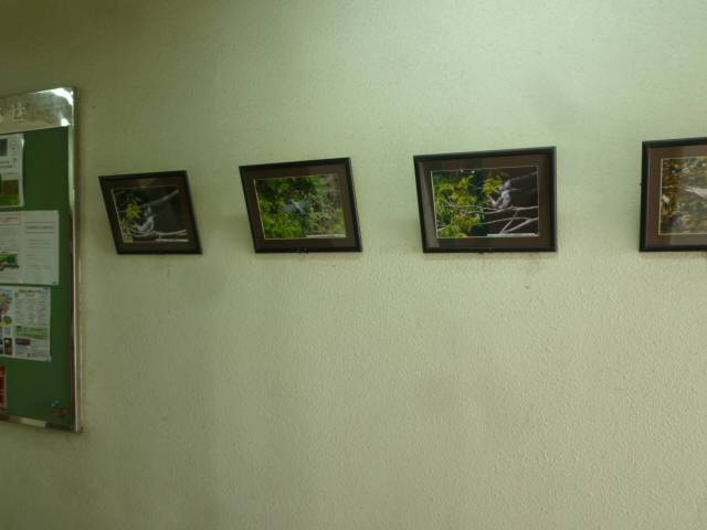 P1100440.jpg