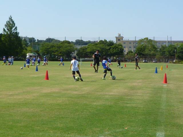 P1100974.jpg