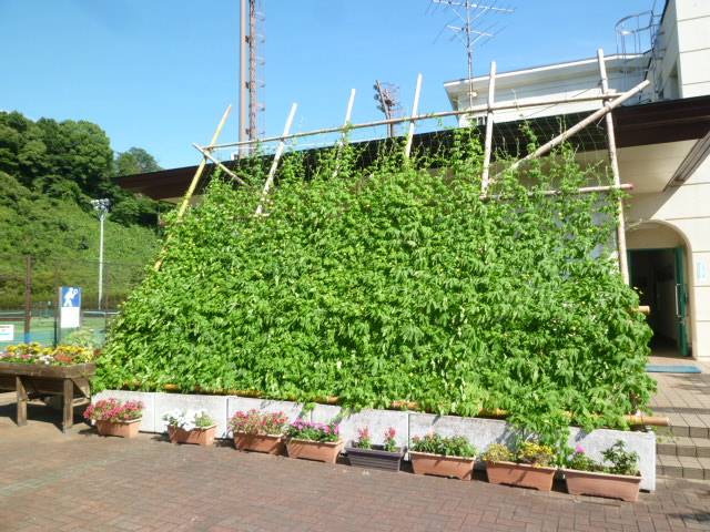 P1100865.jpg
