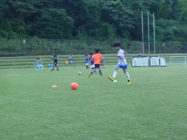 P1100990.jpg
