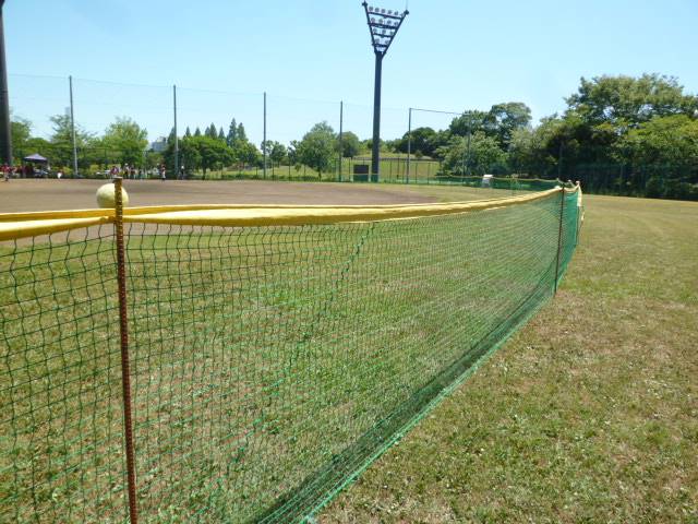 P1110107.jpg