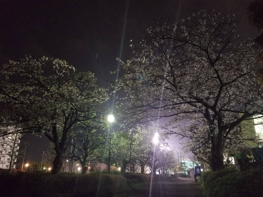 20240406_194020.jpg