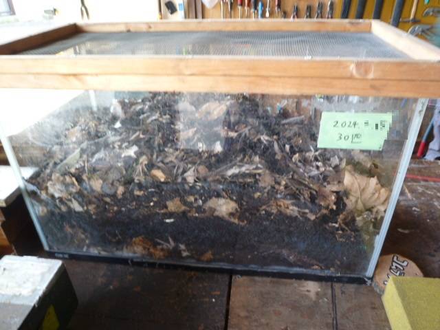 P1130353 - ぼかしありコピー.jpg