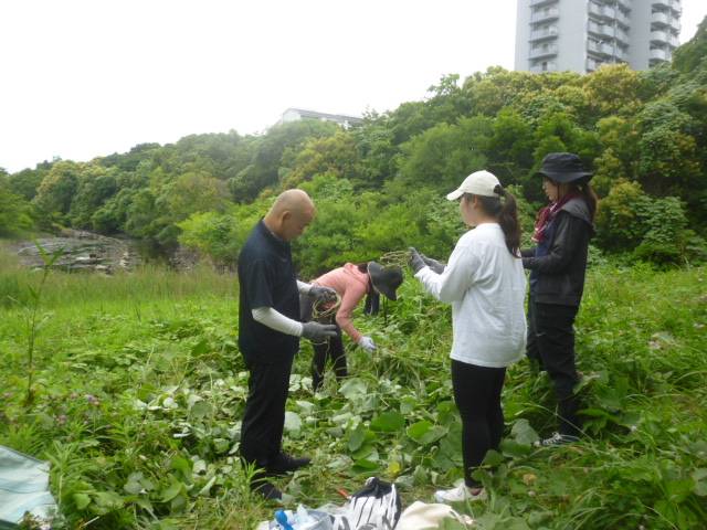 P1020597.jpg