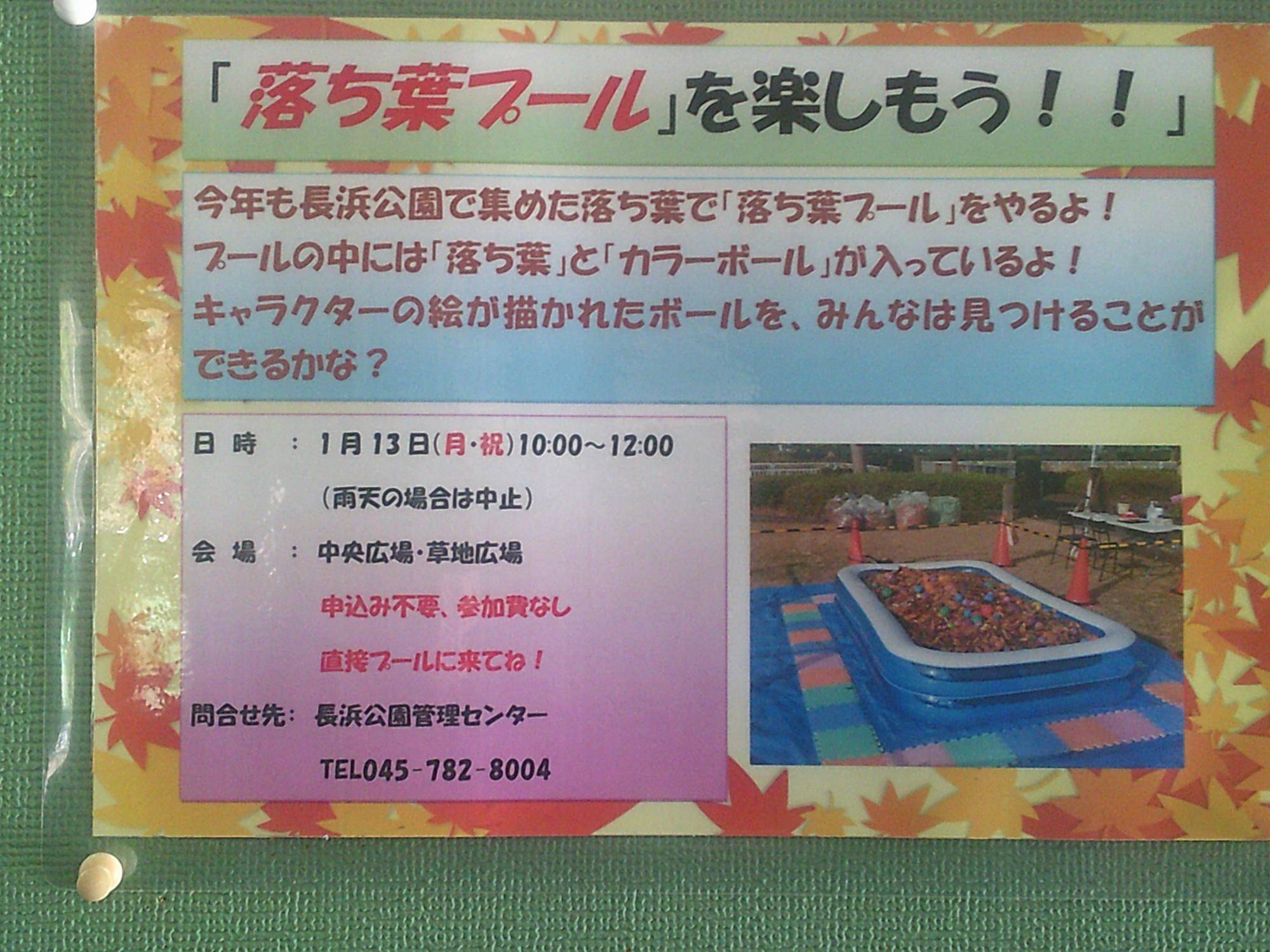 DSCF0032.jpg