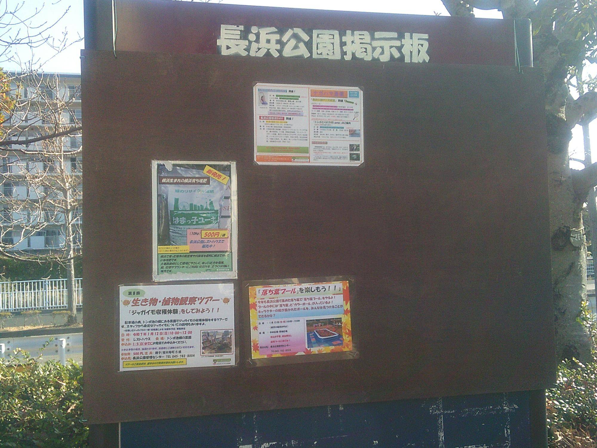 DSCF0035.jpg