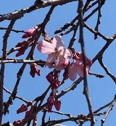 image6 - コピー.jpeg