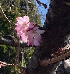 image4 - コピー.jpeg