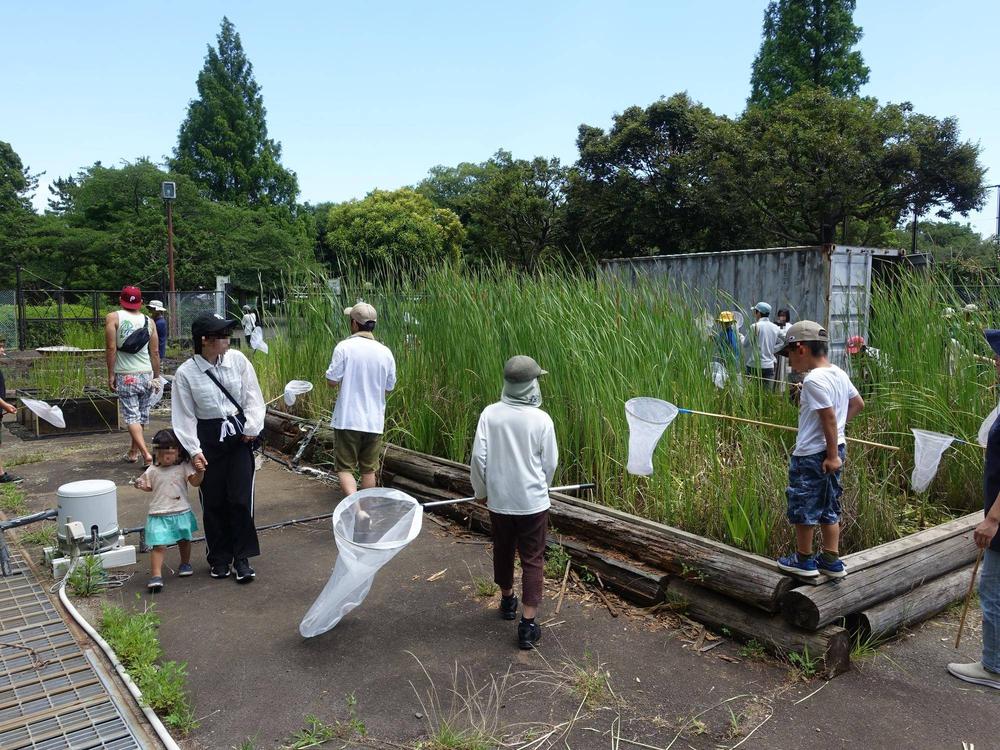2026_トンボとり大作戦_0525ブログ用02.jpg