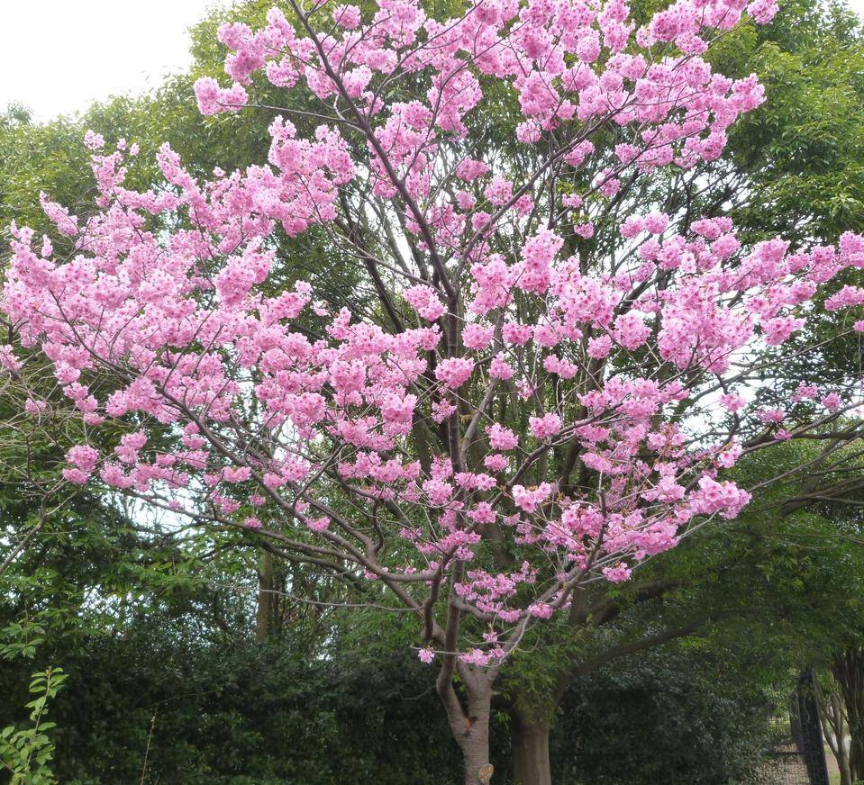 P1020365 トリミング済.jpg