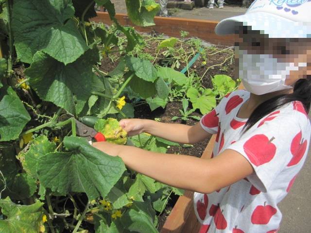 IMG_1959 - ぼかしありコピー.jpg