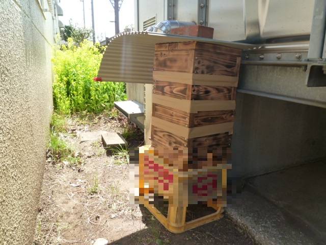 P1040850 - ビールケースぼかし.jpg